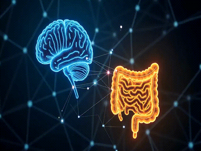 Could Gut Problems Signal Alzheimer’s or Parkinson’s Risk Years in Advance?