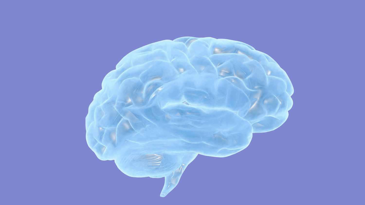 Your 40s, 50s, and 60s Are Your Brain's Most Important Decade — Here's What the Research Shows