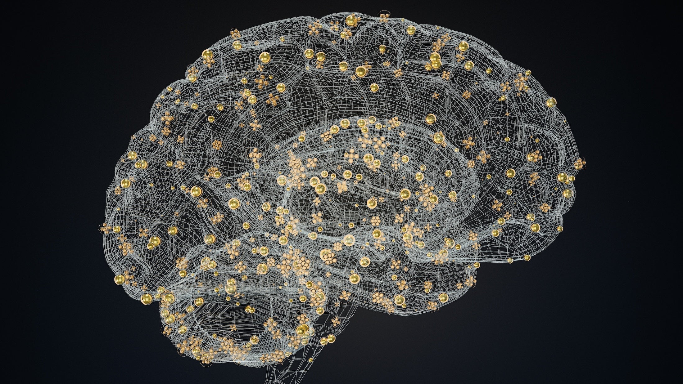 New Neurology Study Reinforces What NeuroFiber Was Built On: Brain Health Begins in the Gut - NeuroFiber