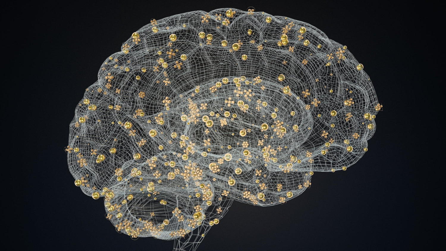 New Study: Plant-Based Diet May Lower Alzheimer's Risk by 12% - NeuroFiber