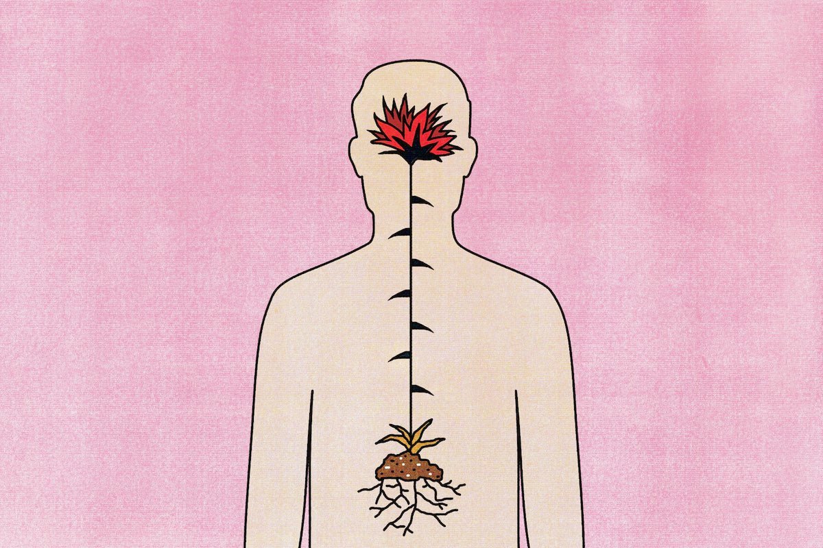 Parkinson’s Disease May Begin in the Gut, New Research Suggests - NeuroFiber