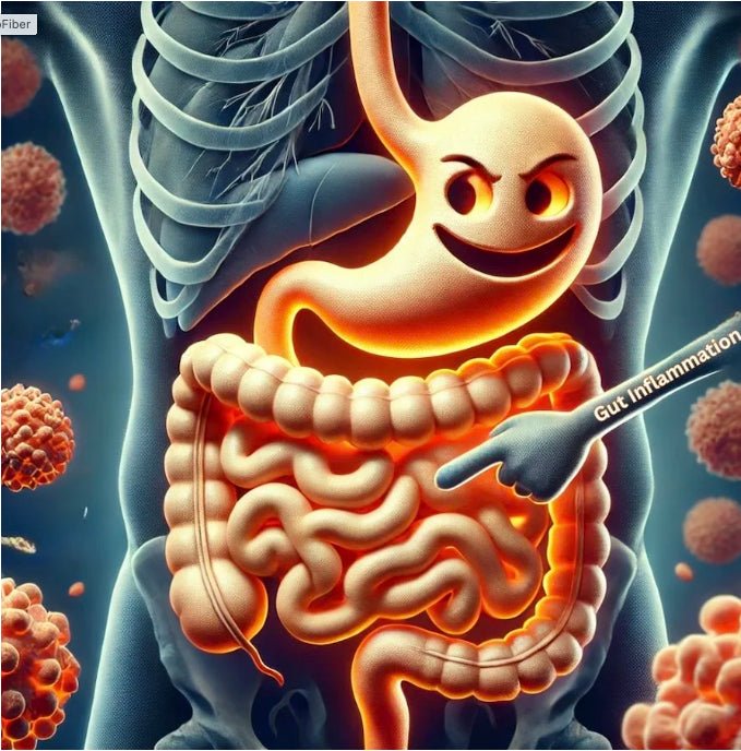 Think Your Gut is Fine? Constipation Isn’t the Whole Story - NeuroFiber