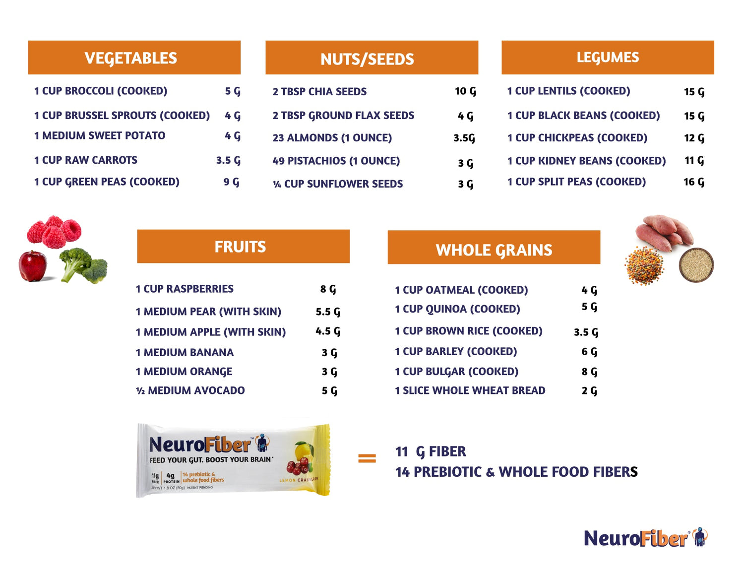Understanding Gut Health: Why It Matters for Brain and Body Wellness - NeuroFiber